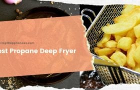 Best Propane Deep Fryer