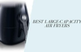 Best Large-Capacity Air Fryers